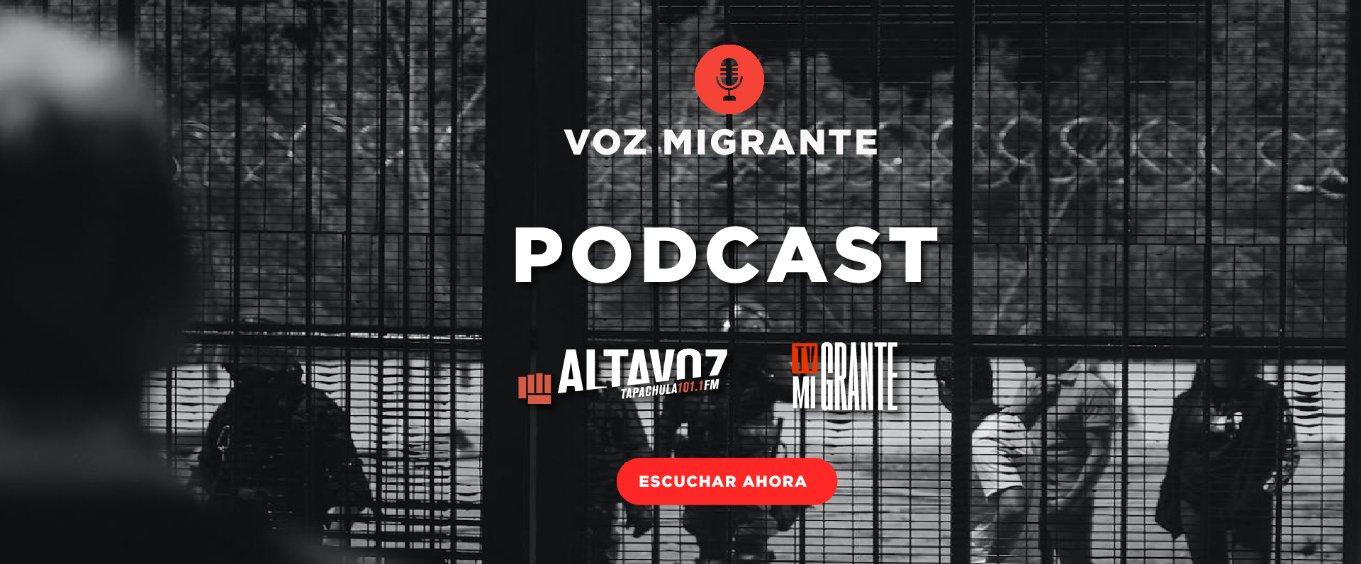 TV Migrante